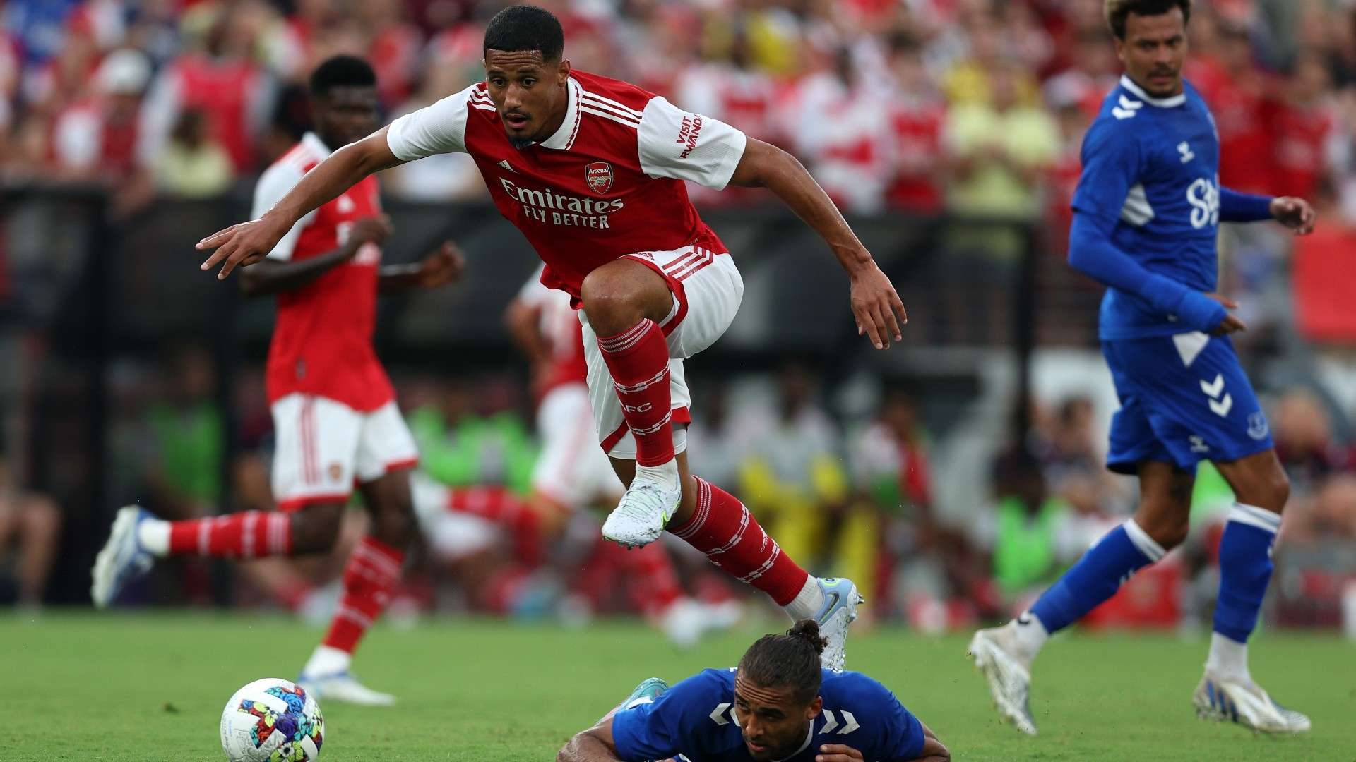 这种多样化 这种多样化